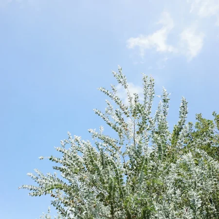 GR3 随手拍 – 无题