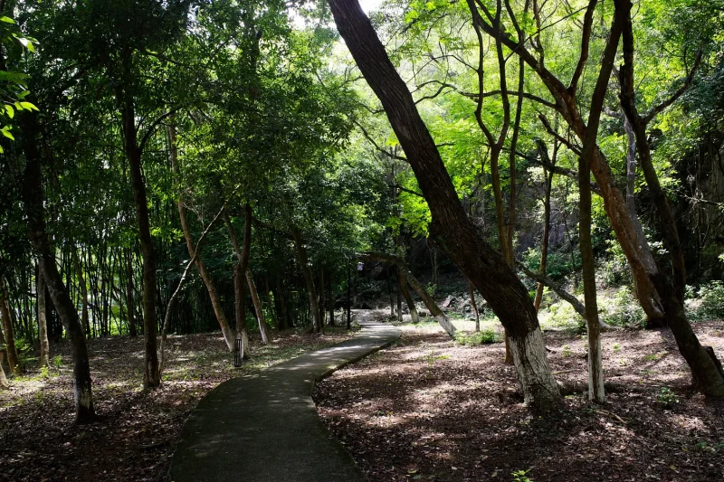 封开龙山风景区-十里画廊
