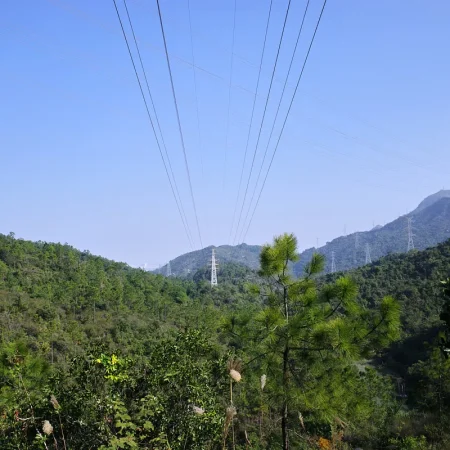 游珠海长南迳古道至会同村段