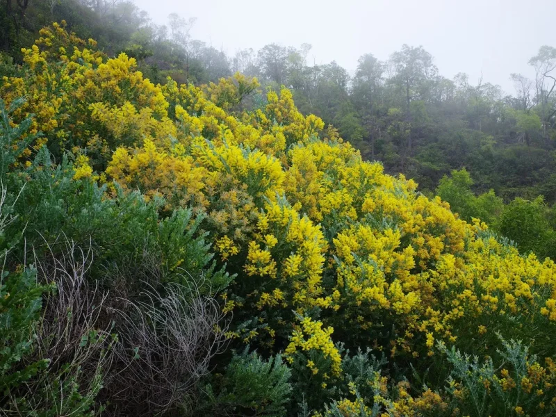 游珠海白莲洞公园入口段景山道