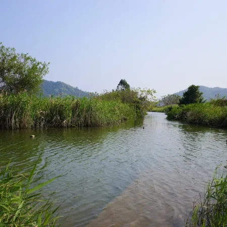 游珠海淇澳担杆岛省级自然保护区