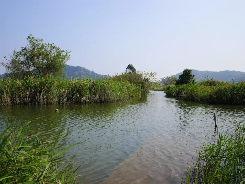 游珠海淇澳担杆岛省级自然保护区