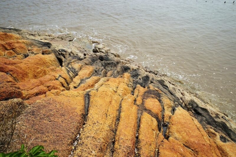 游珠海淇澳担杆岛省级自然保护区-雅余