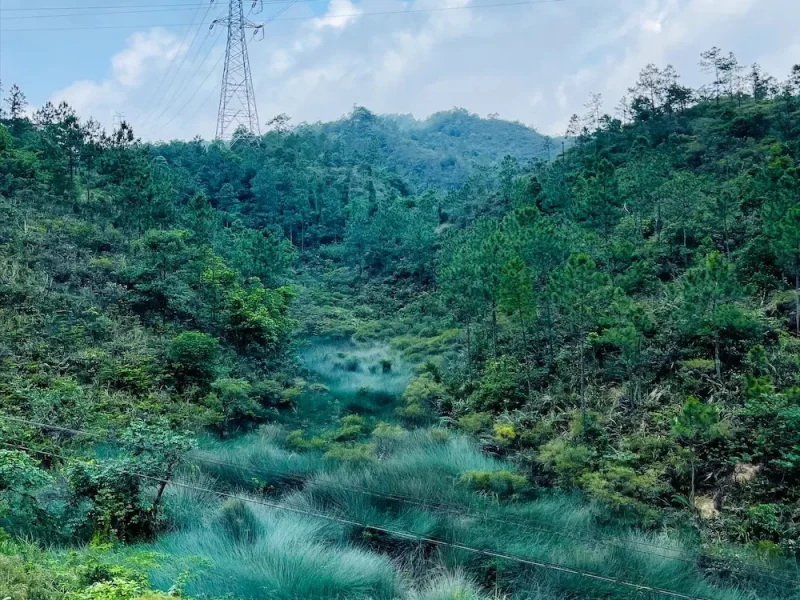 日常漫步 Vol.4 珠海凤凰山爬山日常