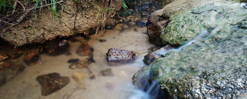 爬凤凰山长南迳古道寻水流声