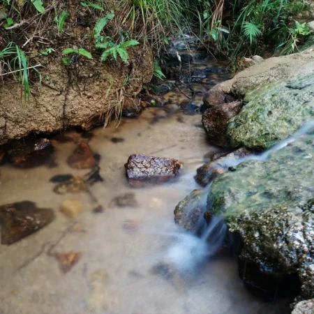 爬凤凰山长南迳古道寻水流声