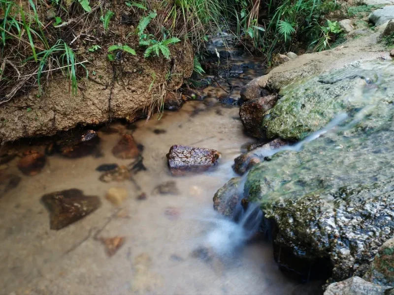 爬凤凰山长南迳古道寻水流声