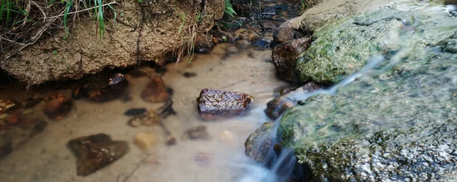 爬凤凰山长南迳古道寻水流声