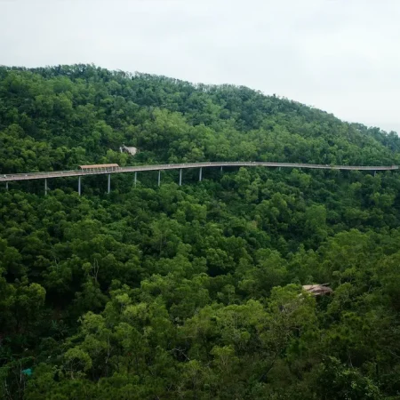 游珠海香山云道·香山湖至海天公园段栈道