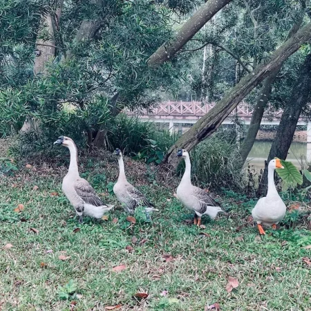 我的几个小坚持