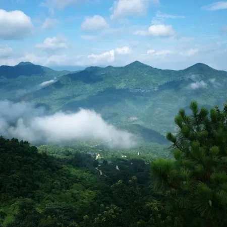 游云浮市新兴县象窝山