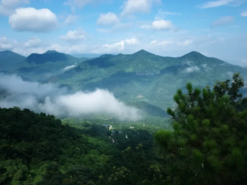 游云浮市新兴县象窝山