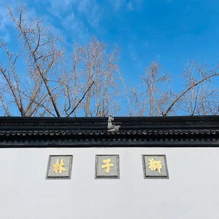 我在苏州逛园子之狮子林