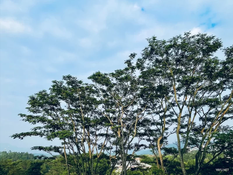 隐居假期