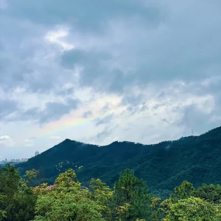 日常漫步 Vol.14 之雨中山野徒步