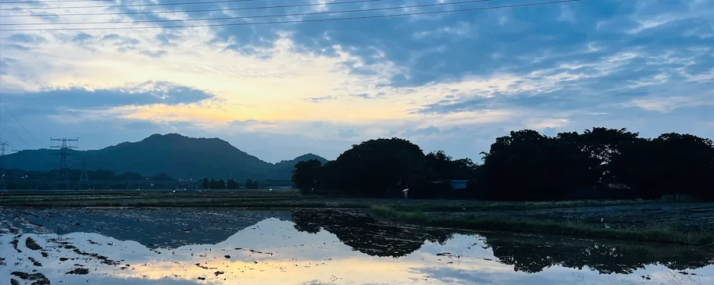 台风升级和相机升级