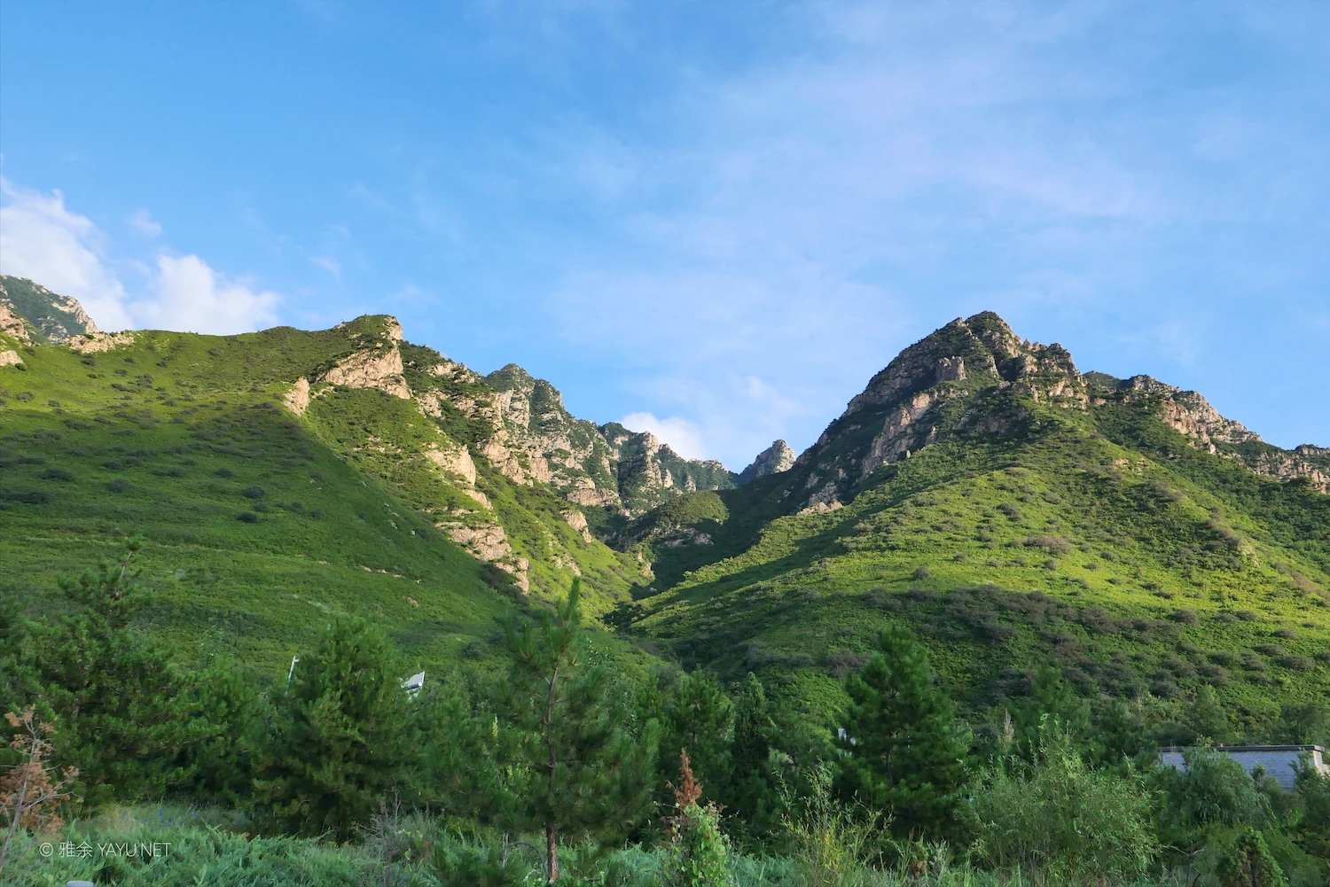 山西河北历史文化之旅 | 广灵甸顶山空中草原（图38）