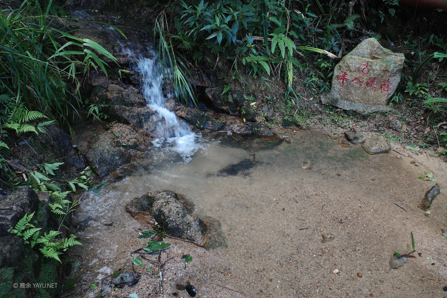 桦加沙过后的凤凰山（图14）