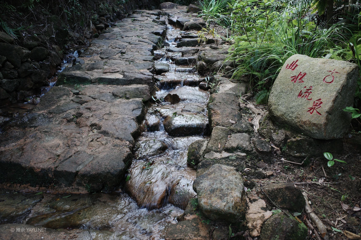 桦加沙过后的凤凰山（图15）