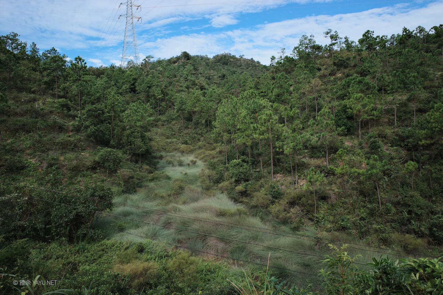 桦加沙过后的凤凰山（图18）