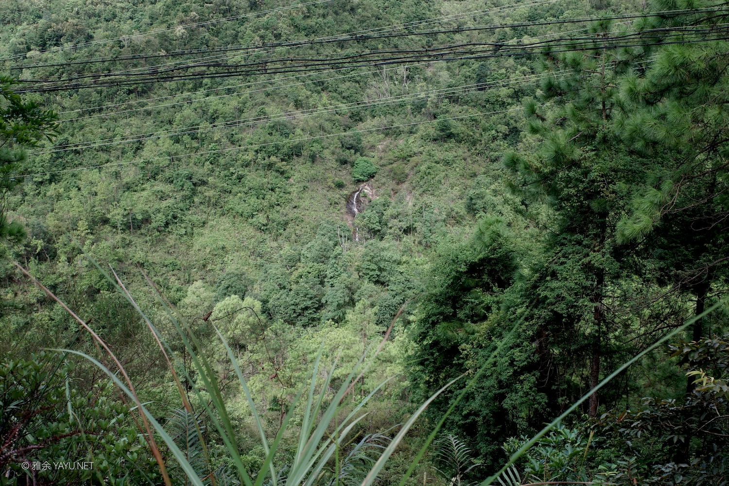 桦加沙过后的凤凰山（图20）