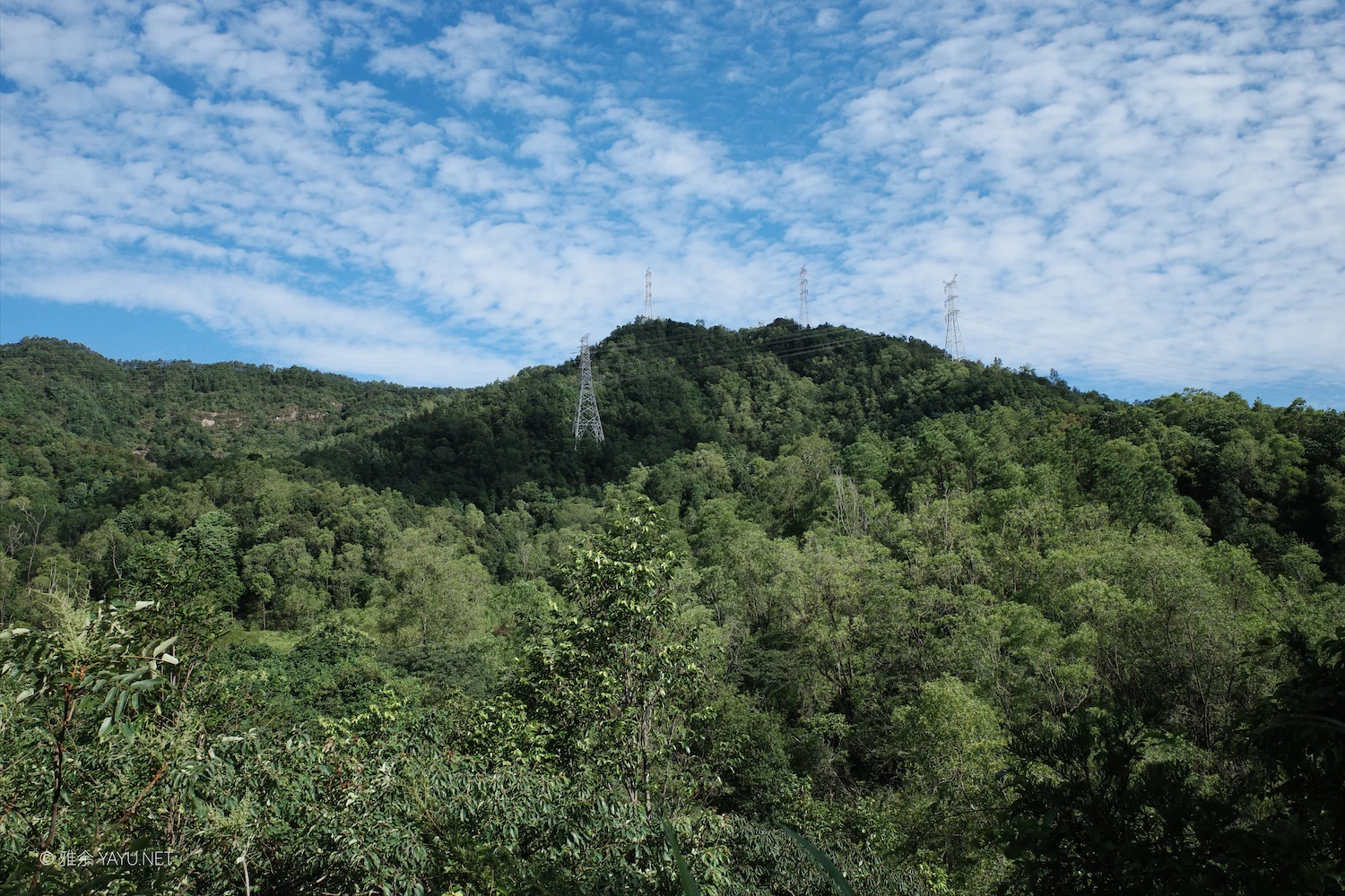 桦加沙过后的凤凰山（图1）
