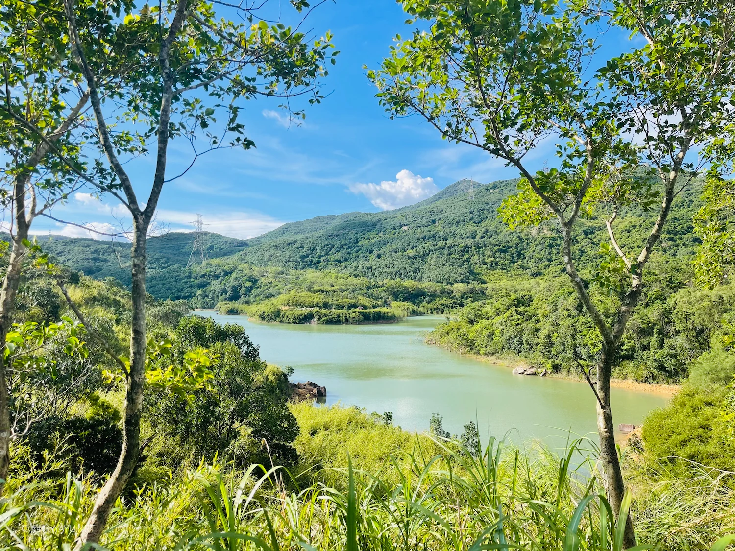 游深圳云海公园（图2）