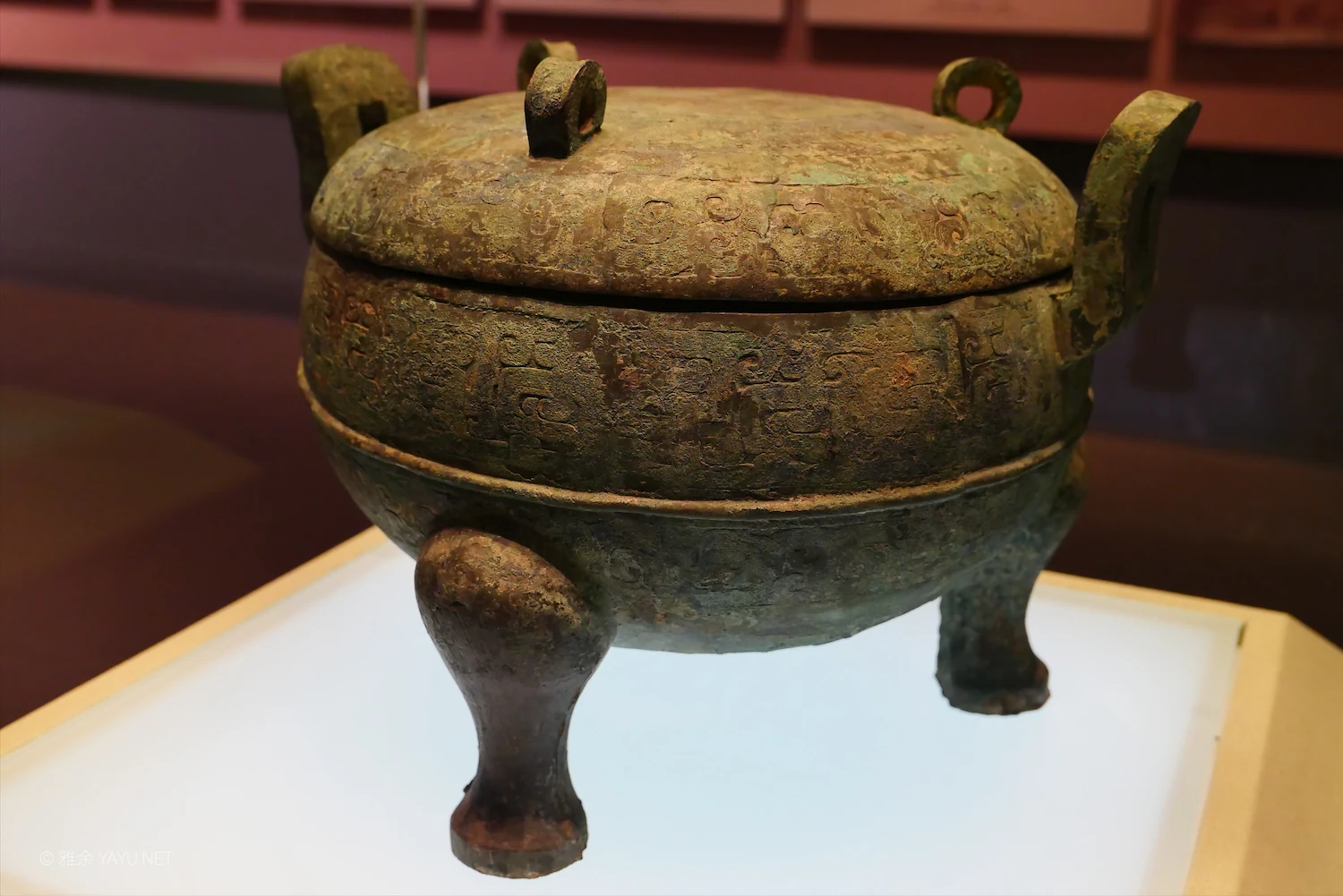 山西河北历史文化之旅｜河北博物院（图10）