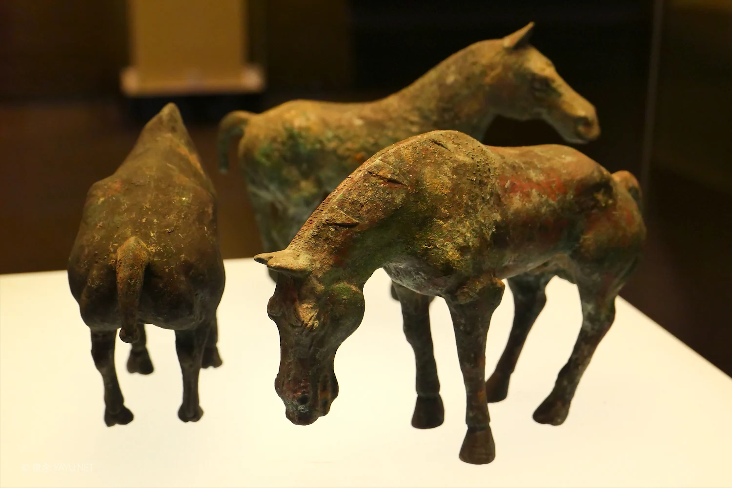 山西河北历史文化之旅｜河北博物院（图11）