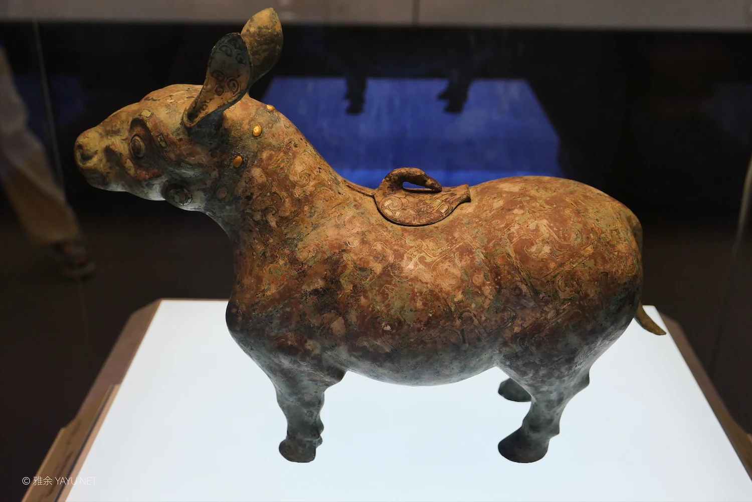 山西河北历史文化之旅｜河北博物院（图27）