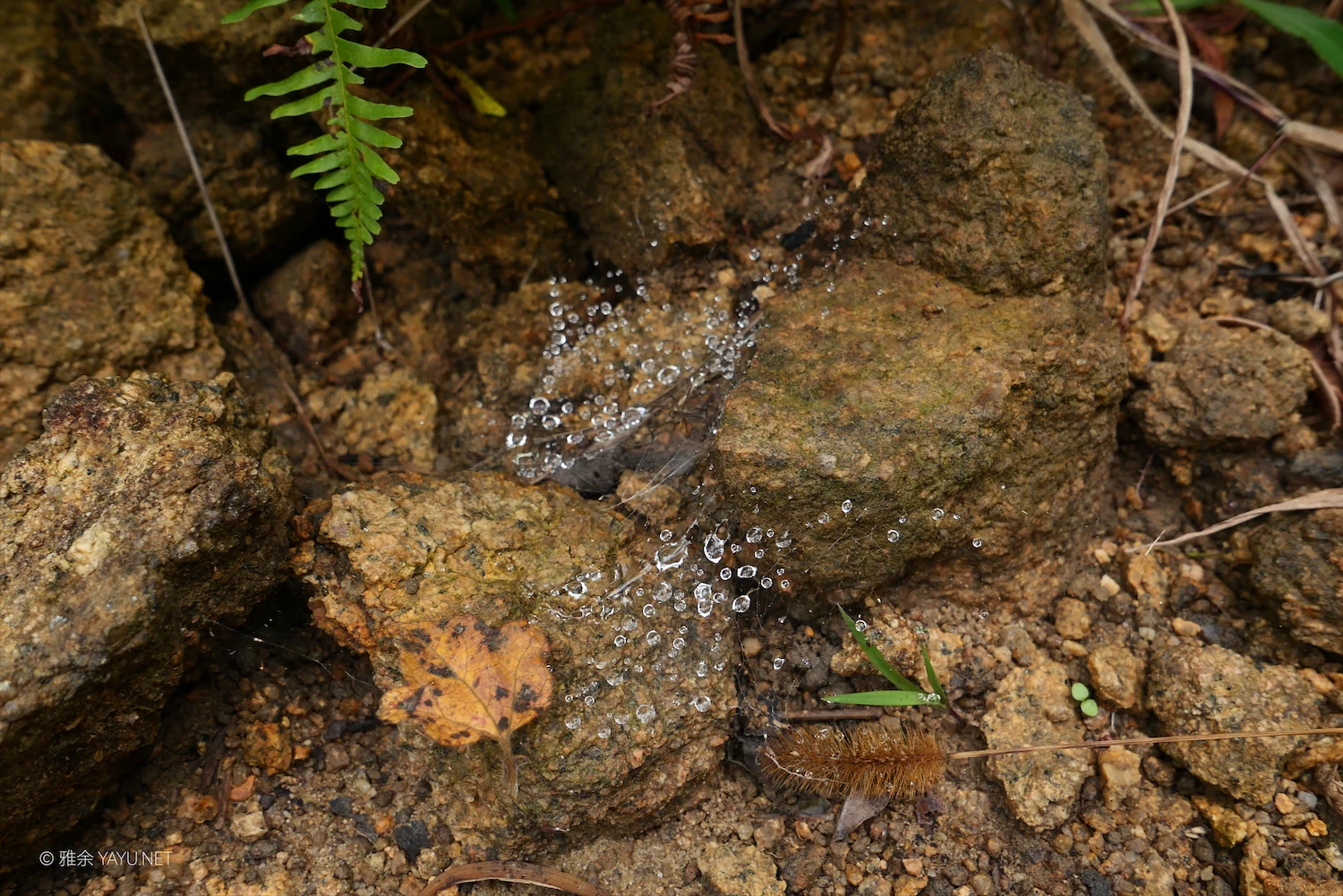 日常漫步 Vol.18 之每周一山(图9) 日常漫步 Vol.18 之每周一山(图9)