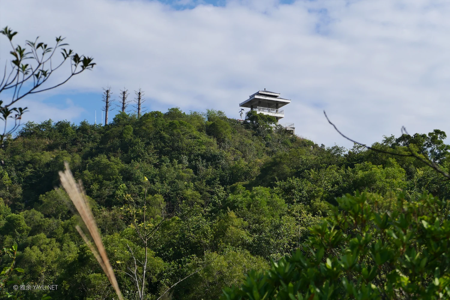 日常漫步 Vol.18 之每周一山(图5) 日常漫步 Vol.18 之每周一山(图5)