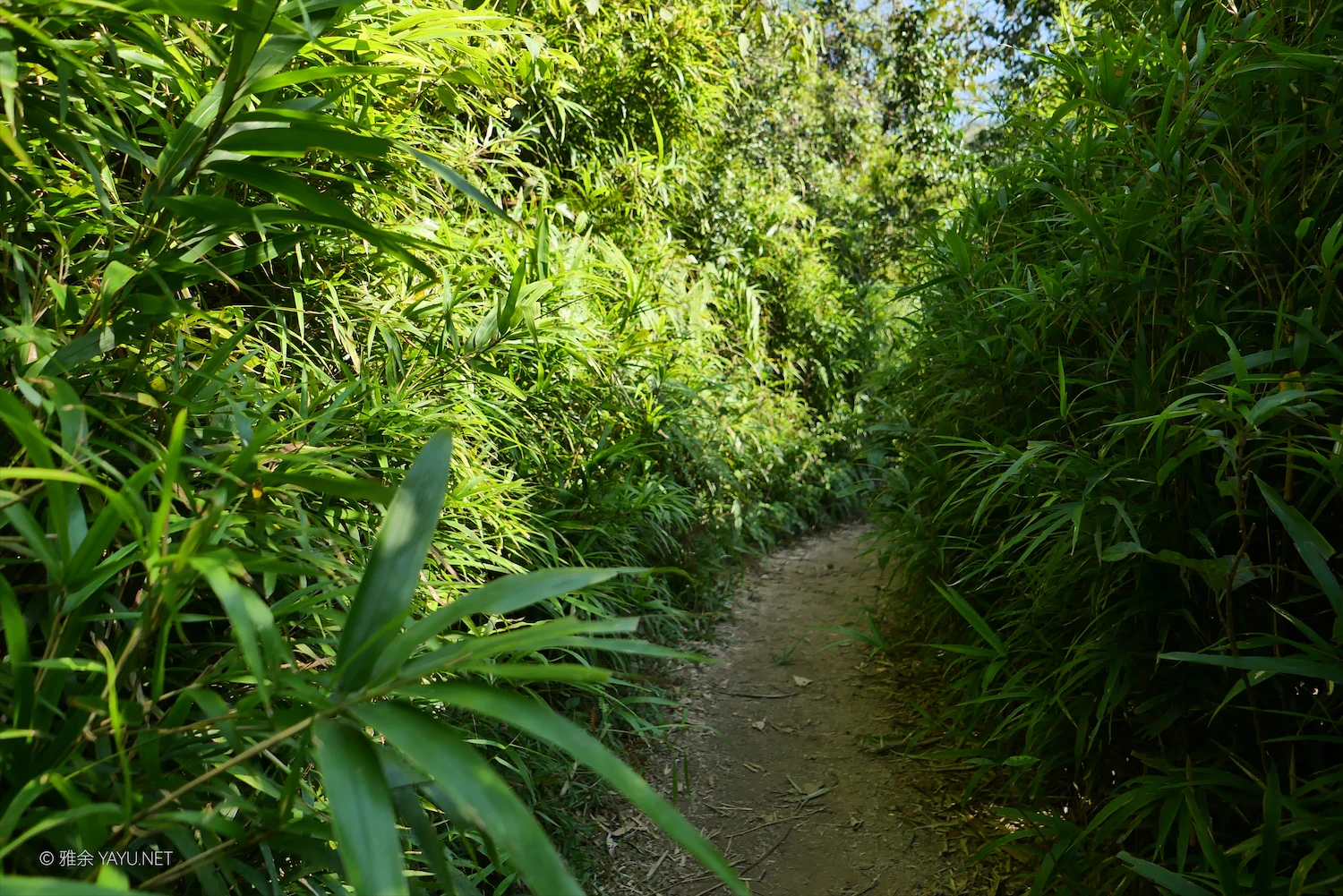 日常漫步 Vol.18 之每周一山(图12) 日常漫步 Vol.18 之每周一山(图12)