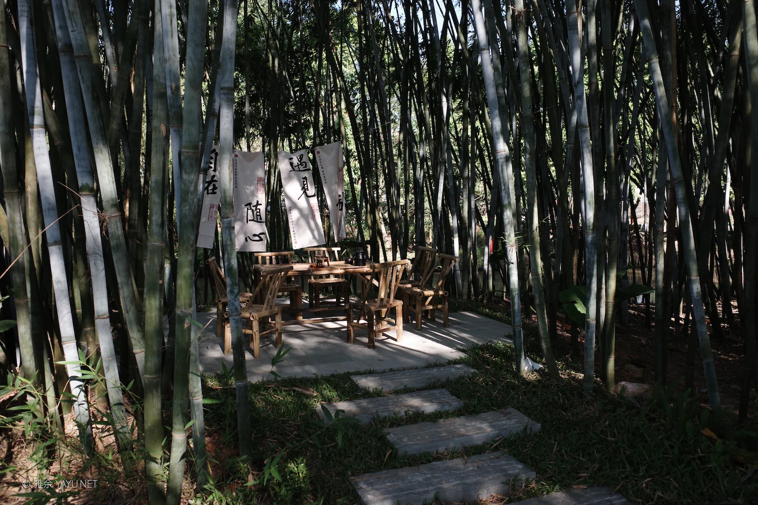 日常漫步 Vol.19 之稻田与猫（图19）