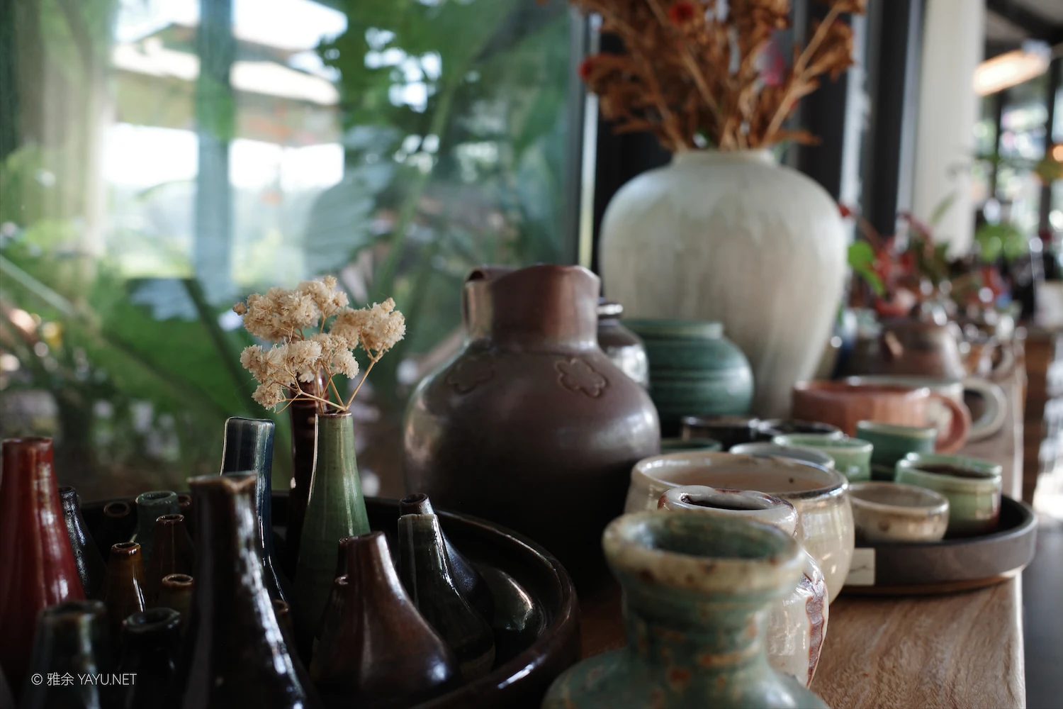 日常漫步 Vol.19 之稻田与猫（图14）