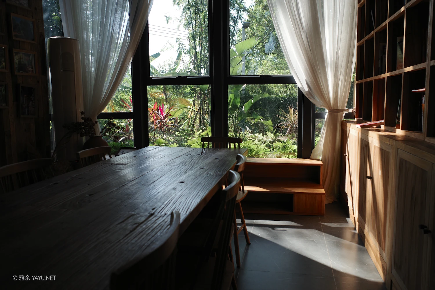 日常漫步 Vol.19 之稻田与猫（图16）