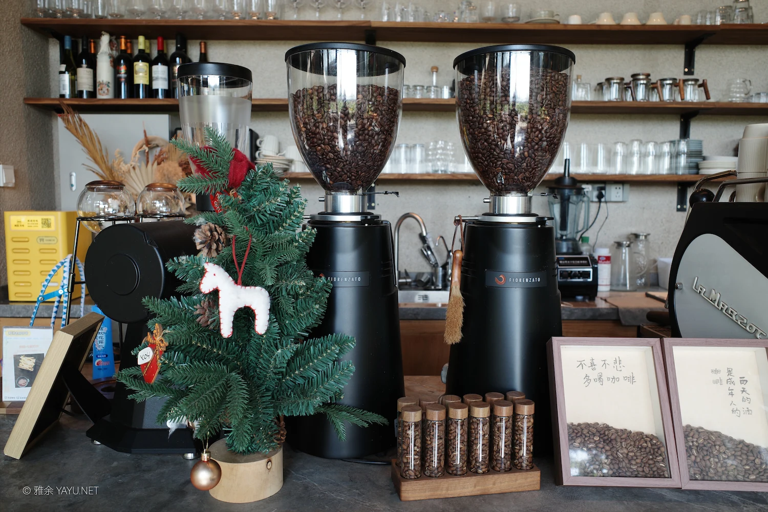 日常漫步 Vol.19 之稻田与猫（图12）