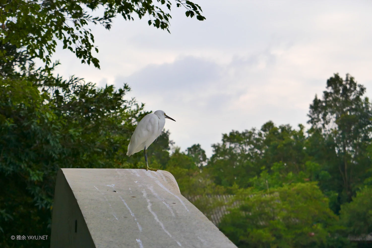 日常漫步 Vol.20 之珠海圆明新园（图4）