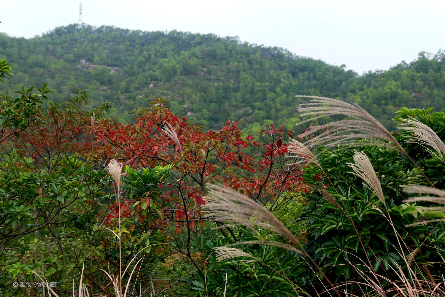 日常漫步 Vol.20 之珠海圆明新园（图13）