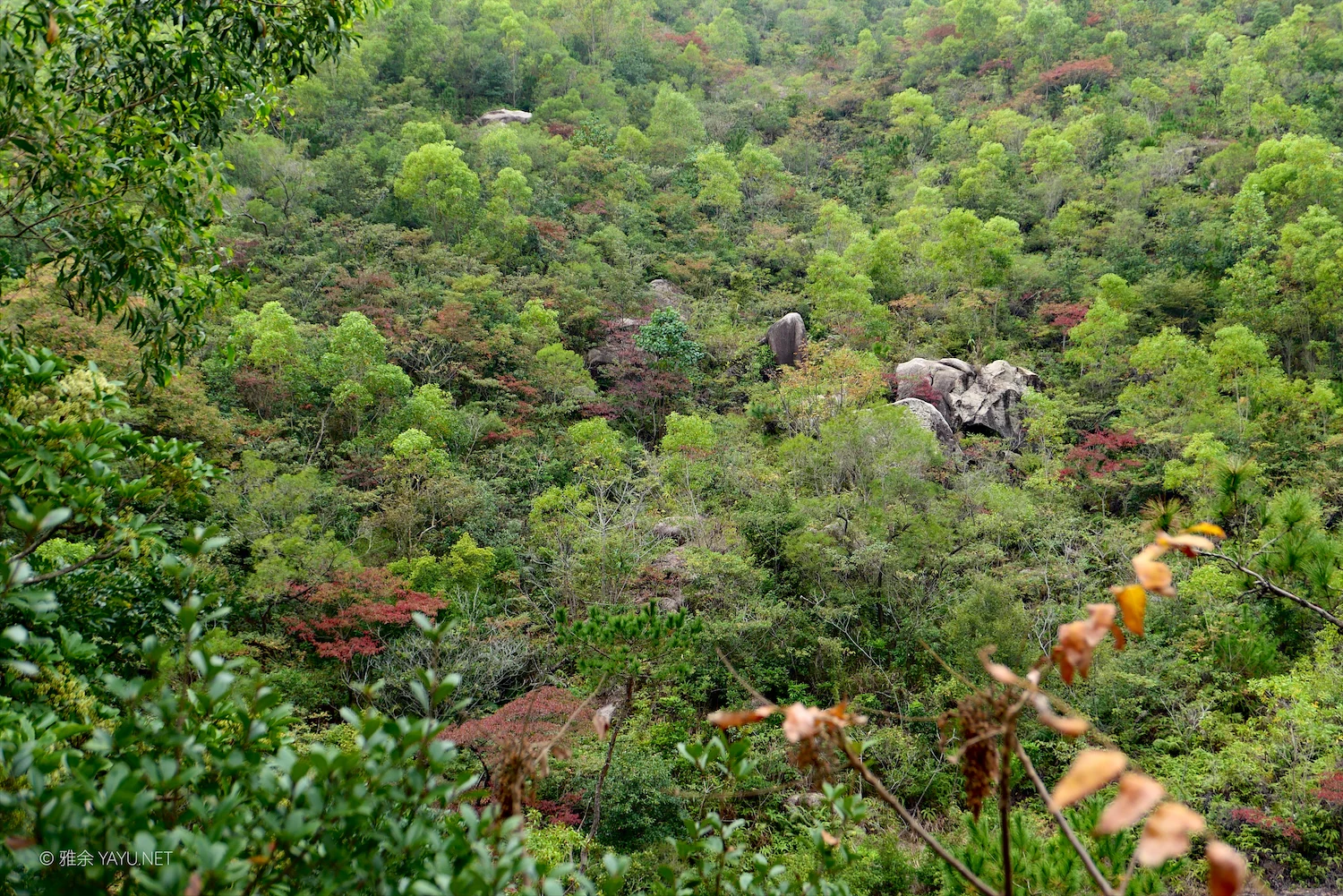 日常漫步 Vol.20 之珠海圆明新园（图14）