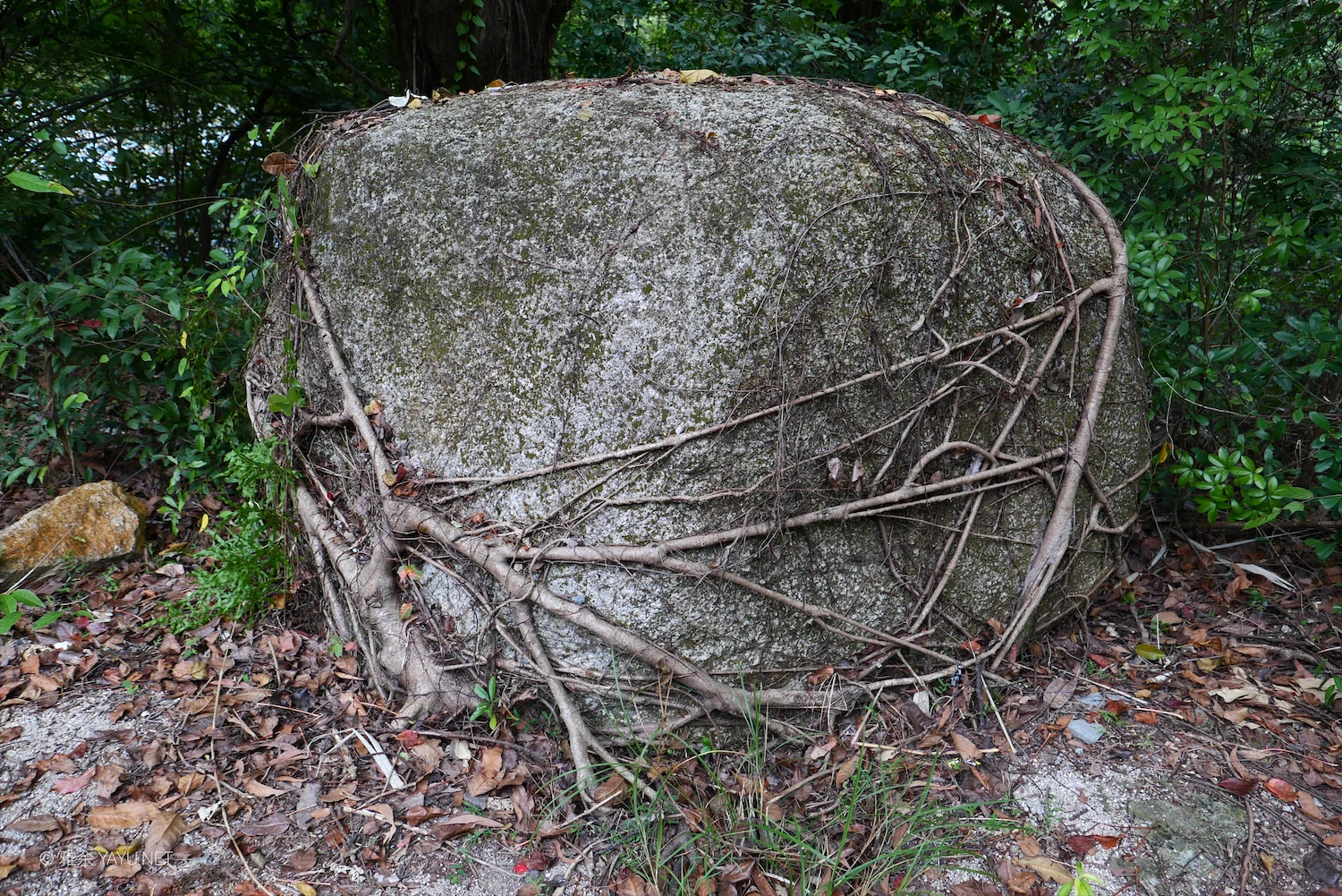 日常漫步 Vol.20 之珠海圆明新园（图5）