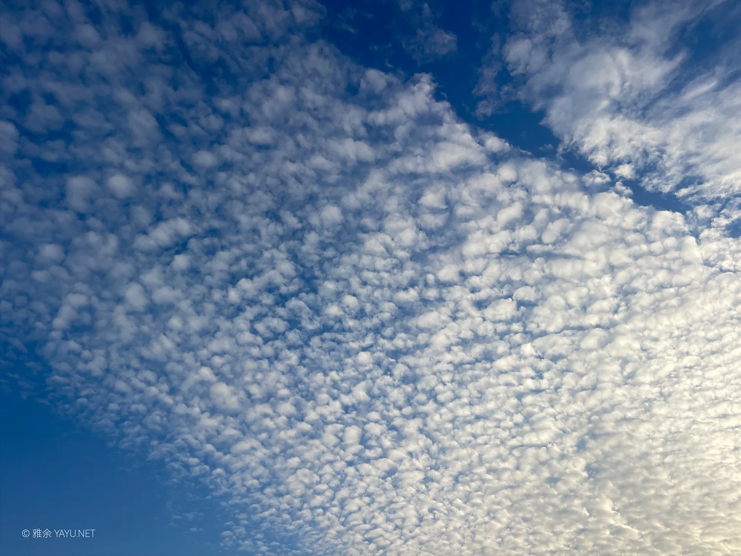 日常漫步 Vol.21 之珠海蓝（图6）