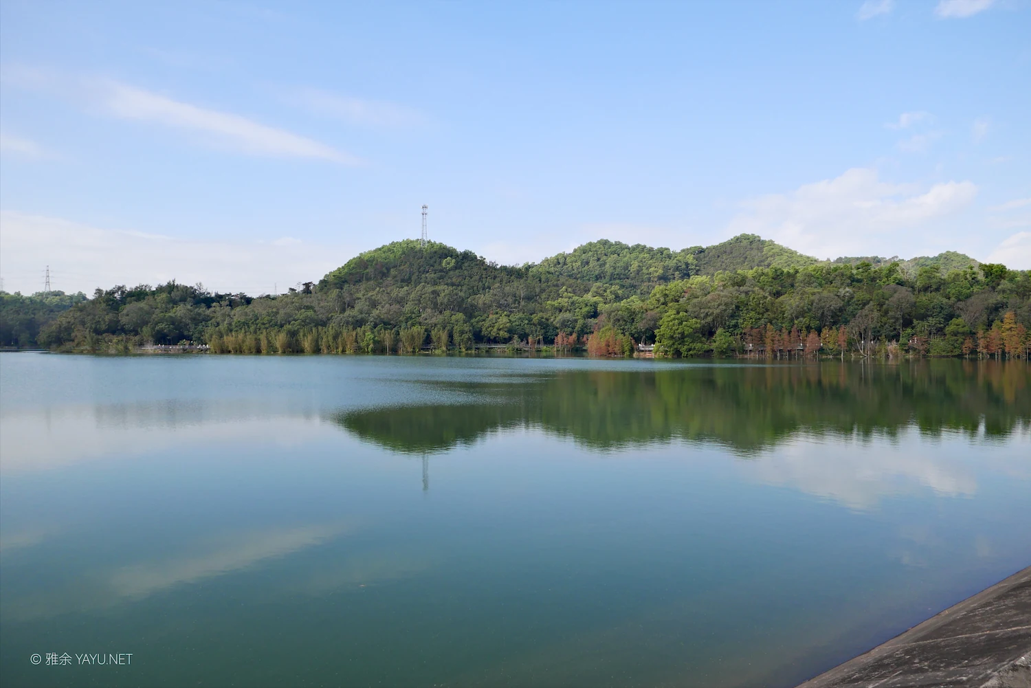 游中山金钟水库打卡水杉林（图5）