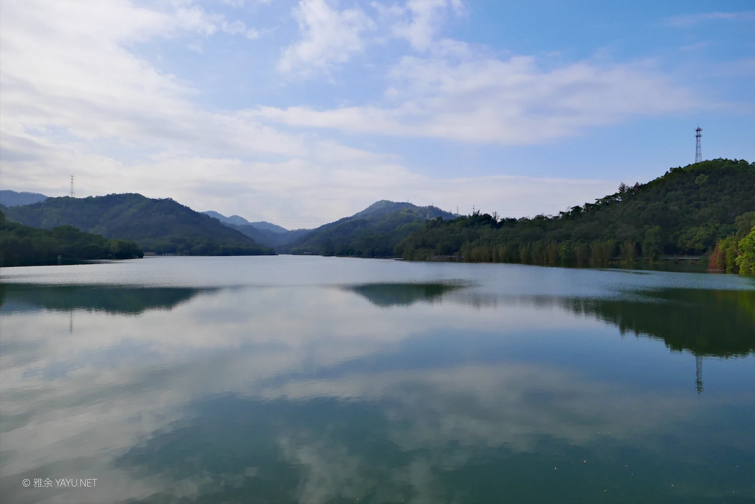 游中山金钟水库打卡水杉林（图6）