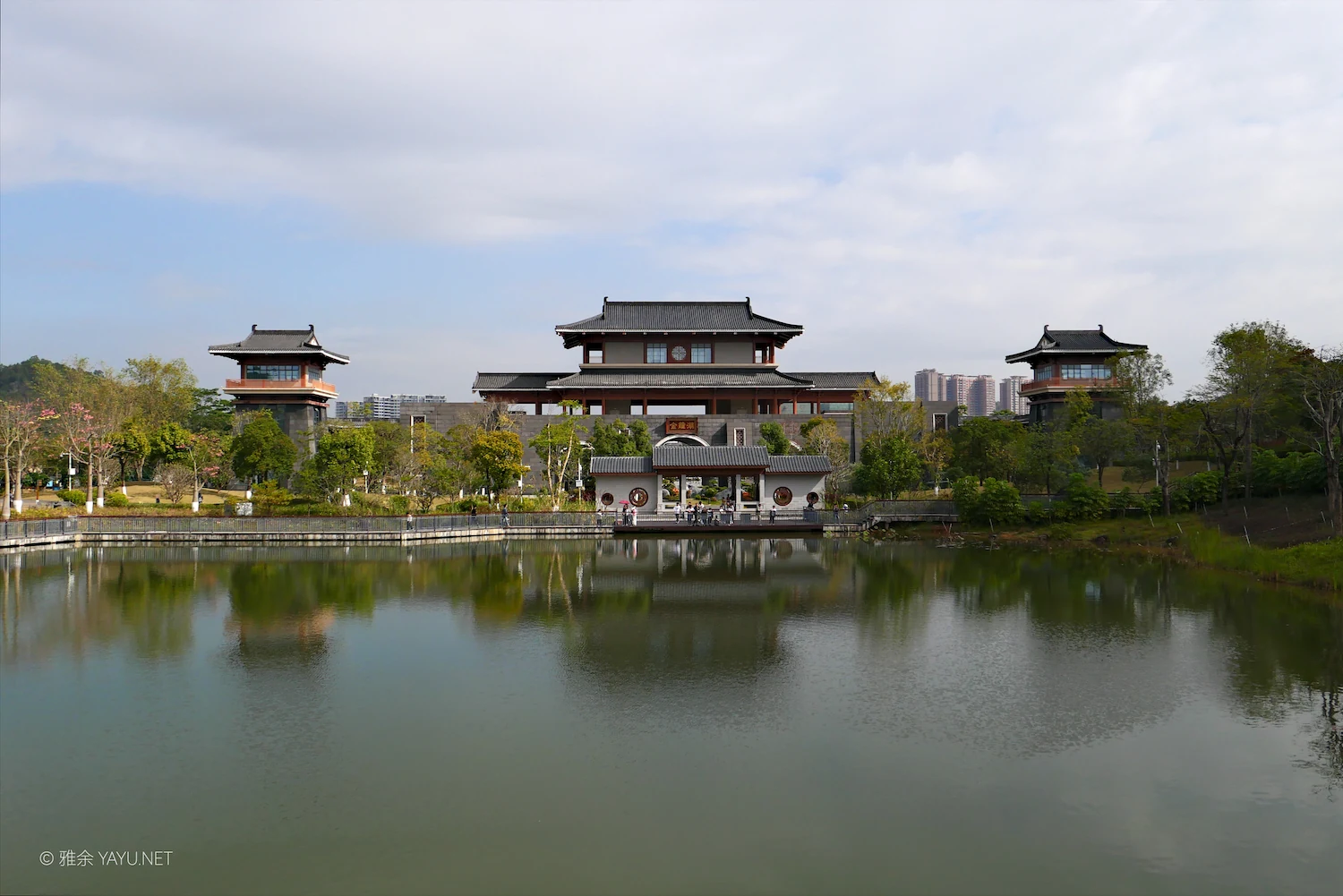 游中山金钟水库打卡水杉林（图2）