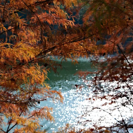 中山金钟水库10公里环湖漫步