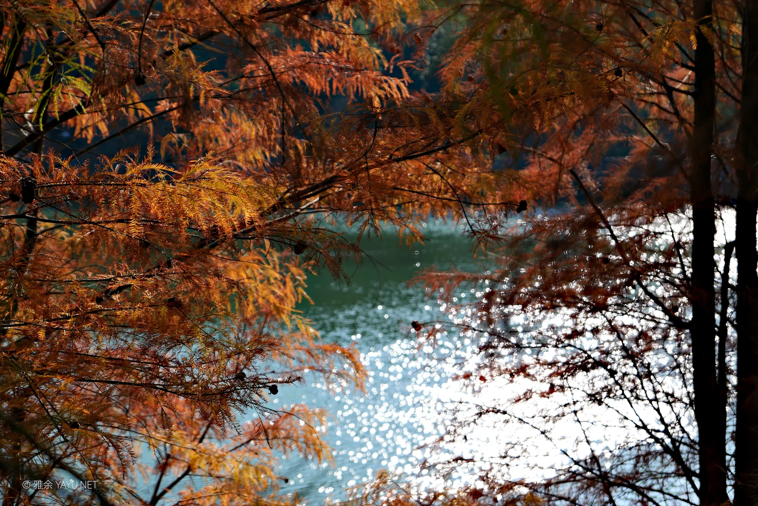 中山金钟水库10公里环湖漫步(图2) 中山金钟水库10公里环湖漫步(图2)