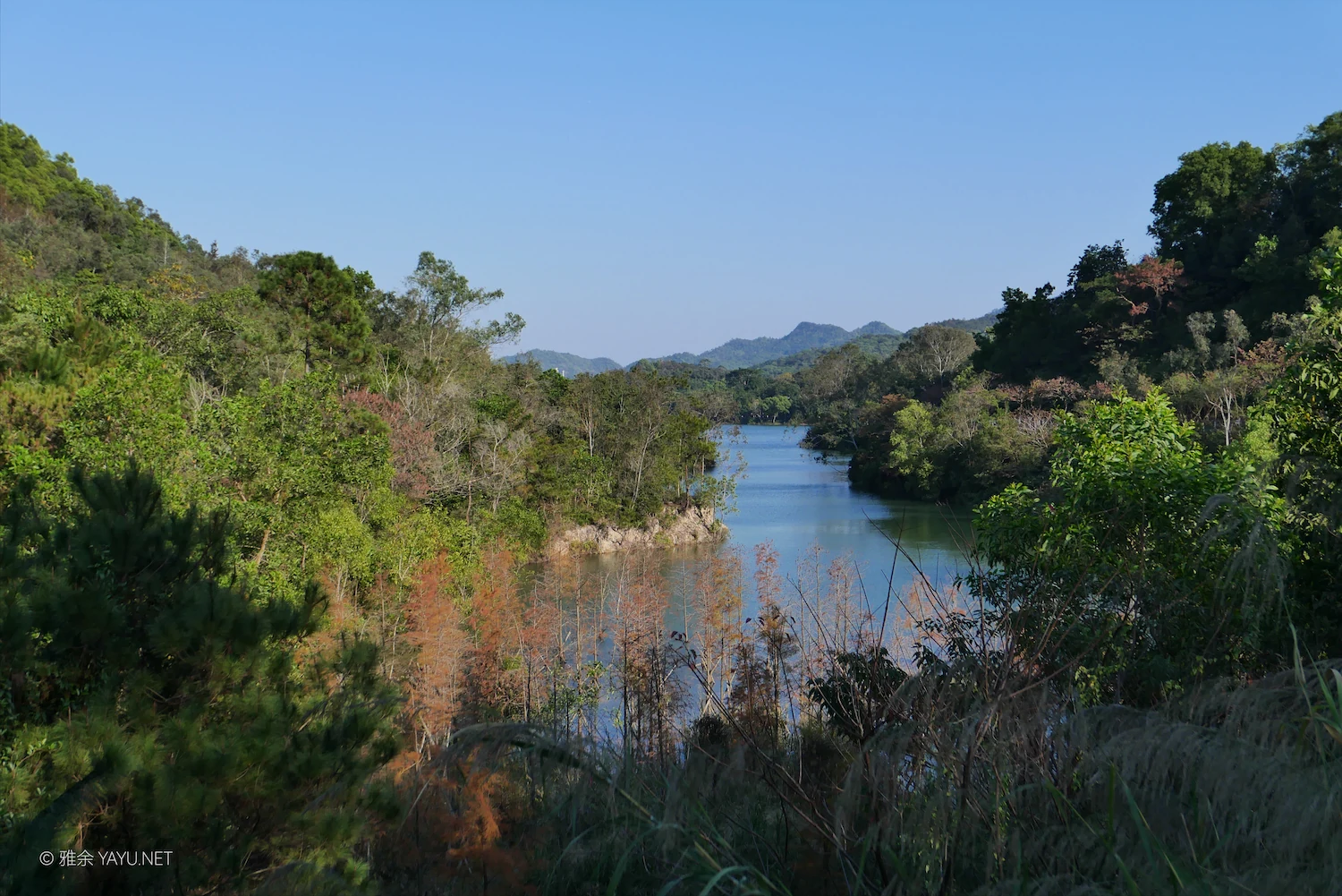 中山金钟水库10公里环湖漫步(图10) 中山金钟水库10公里环湖漫步(图10)