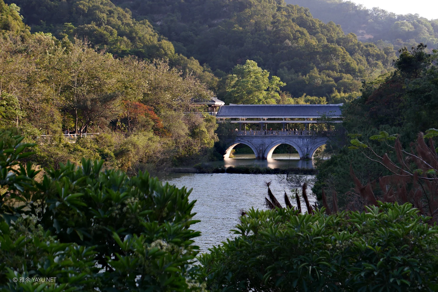 中山金钟水库10公里环湖漫步(图15) 中山金钟水库10公里环湖漫步(图15)