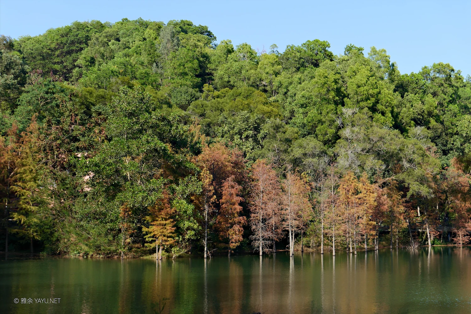 中山金钟水库10公里环湖漫步(图4) 中山金钟水库10公里环湖漫步(图4)